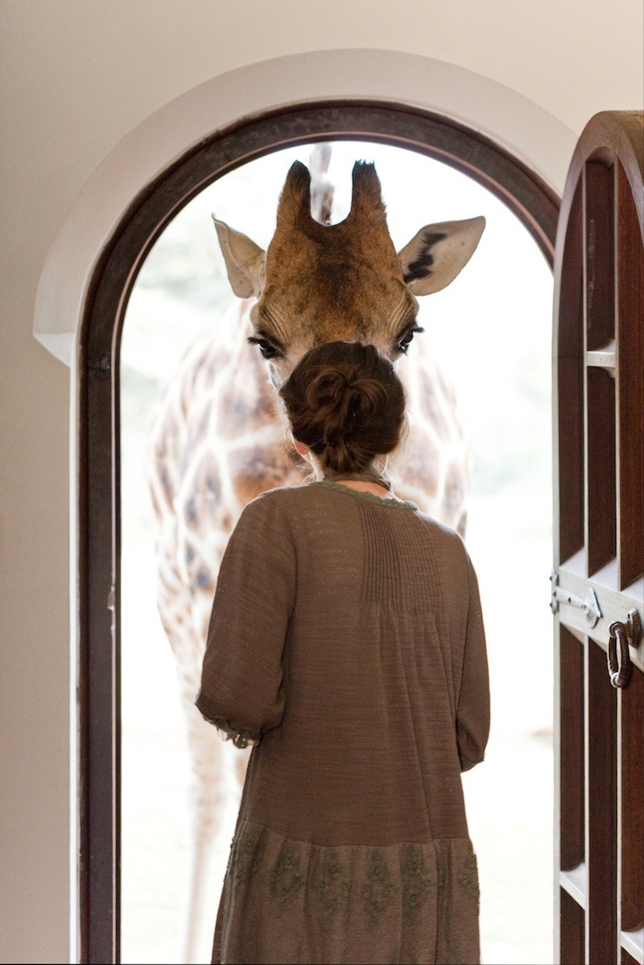 Woman hunter with dead giraffe