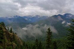 northwestperspectives:  View from Hurricane Ridge | Olympic National Park, WA© NWP