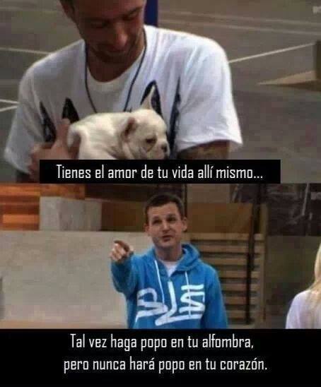 fly-together-please:El amor de tu vida.