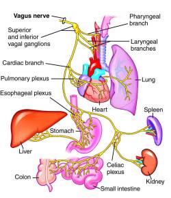 currentsinbiology:  Breath taking     