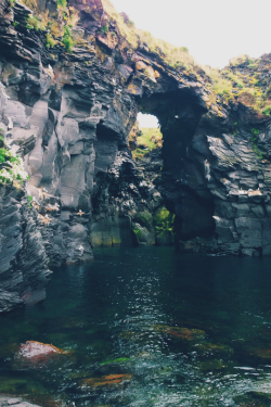 expressions-of-nature:  by calvinsmind an arch on the shore of Iceland 