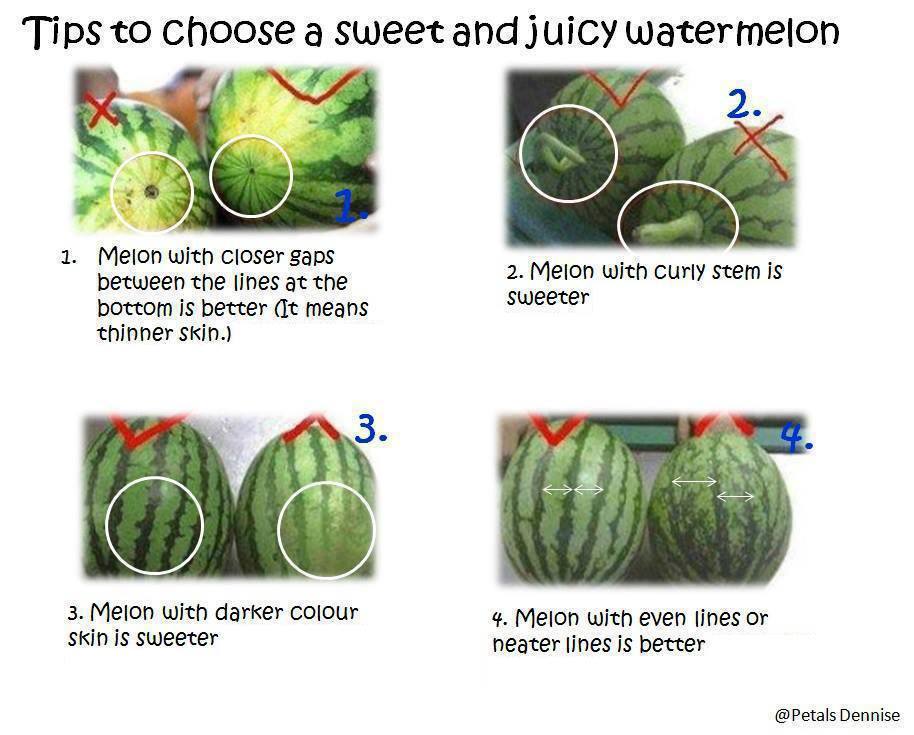 So sweet watermelon