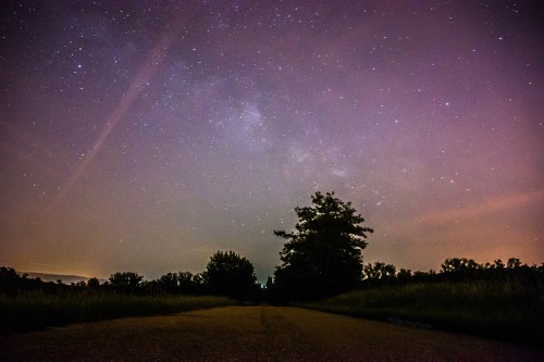 Location: Gödöllő, HungaryPhoto: Daniel Skrabak