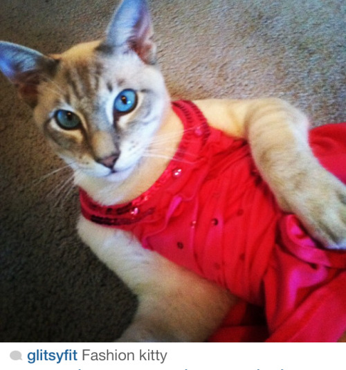carissasweird:  My friend’s 10 year old cousin has the most amazing instagram. 