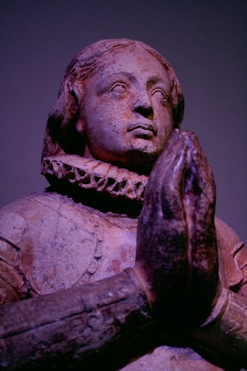 aint-bokeh-dont-fix-it: I took so many photos of Joan of Arc statues while I was in France, these ar