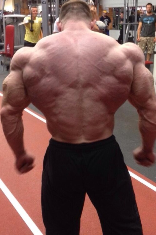 drwannabe:  Damn.  Id?  Ronny Rockel if I remember right.