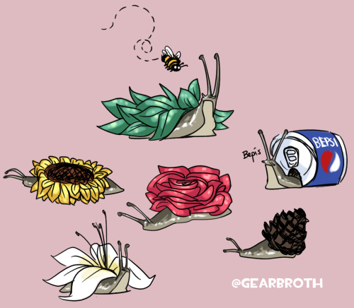 literalliterature: gearbroth: ✧･ﾟ: *✧･ﾟ:* snail show *:･ﾟ✧*:･ﾟ✧ [ID: Drawings showing a series of sn