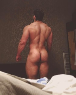 thebuttdawg.tumblr.com post 157783144210