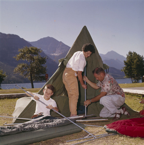 no3schofield: yesterdaysprint: Family setting up the tent, Waterton Lakes National Park, Alberta, Au