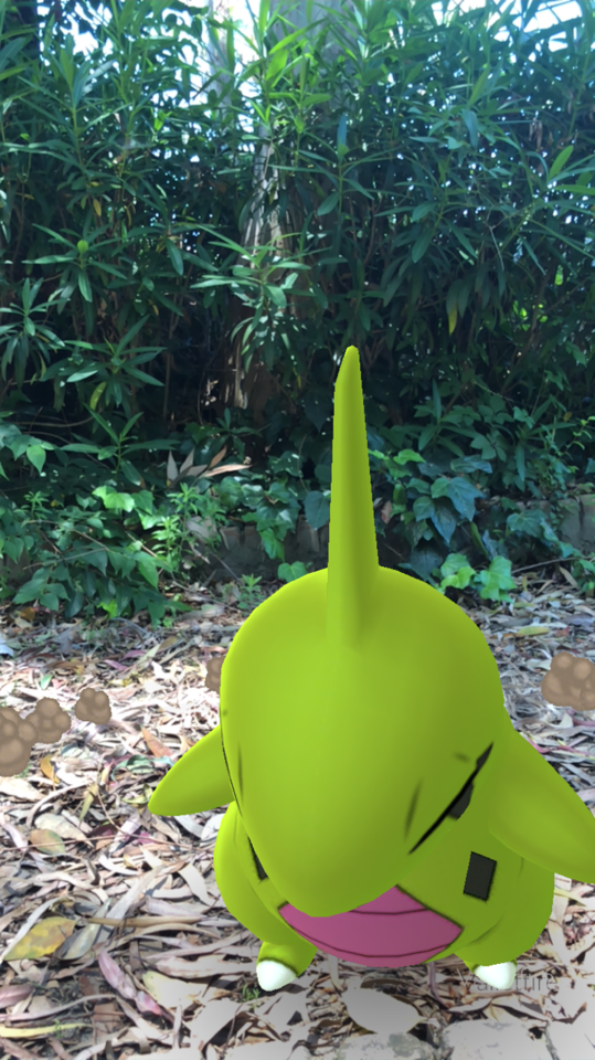 Doluo Pokemongoar Tumblr Blog Tumgir