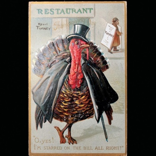 Happy Thanksgiving! This gussied up turkey is from the Charles J. Fyffe greeting card collection.* *