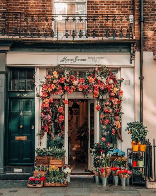 like-fairy-tales: By: Victoria Chmel | victoriachmel