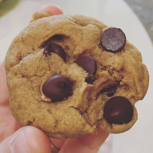 Vegan chocolate chip made by @nudeperspective ! Tastes as good as it looks! #mmm#yummy#instafood#ins