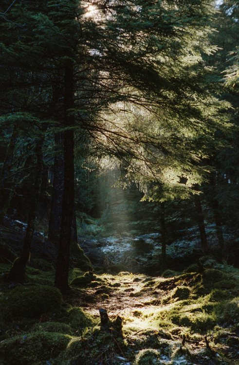 darkface:  untitled (by Esben Bøg) 
