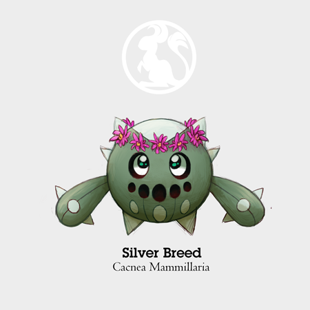eleanart-approved:  Cacnea Variations/SubspeciesWhen I finally figured that the little