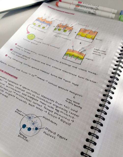 developmental biology