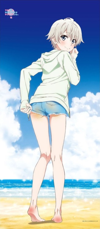 Yahari Ore no Seishun Love Comedy wa Machigatteiru. Kan - Big Wall Scrolls with new illustrations (S