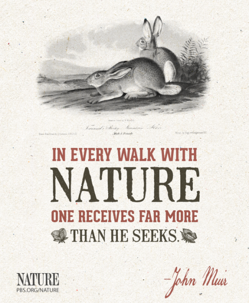 mudmossmolly: pbsnature: Happy National Parks Day! Make sure you get outside and enjoy them!  1