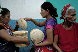 unrar:    Mexico, Oaxaca. Juchitan. 1992. Local women sell tortillas on street. David Alan Harvey. 