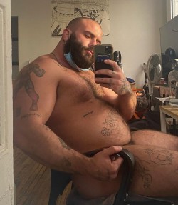 bigbellysstuff: