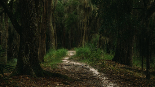 capturedphotos:Shingle Creek, Florida.The Orlando isn’t all about theme parks and such.Photogr