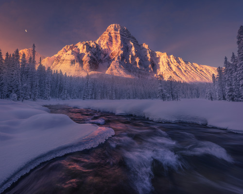 oneshotolive:  Winter Sunrise over the Canadian Rockies [OC] [2000x1600] 📷: dasarpan007 