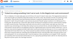 Terefah:observant Pregnant Jewish Woman Goes To R/Legaladvice Because Her Coworker