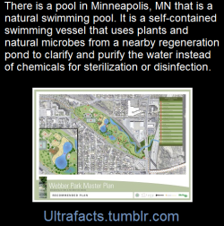 ultrafacts:    As the first chemical-free, all natural public swimming pool in the United States, the Webber Natural Swimming Pool is a self-contained swimming vessel that uses plants and natural microbes from a nearby regeneration pond to clarify and