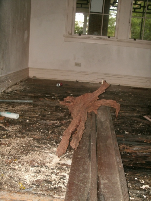 Porn photo decayedbuildings:  Abandoned Property - Hattiesburg,