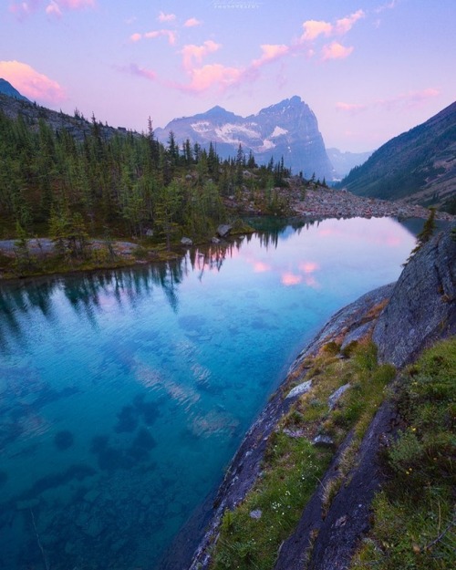 quiet-nymph: Photography by Nick Fitzhardinge