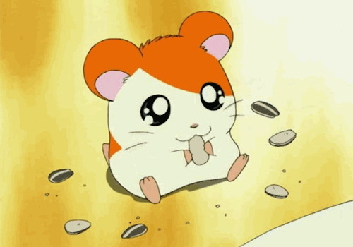 HAMTAROOOOOOOOOOOOOOOOOOOHAM HAM TIME YO