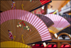 haikcutie:   	Japanese fans (sensu) by Eric