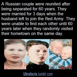 Ultrafacts:  Anna And Boris Remarried After Finding Out That They Were Still In Love.anna