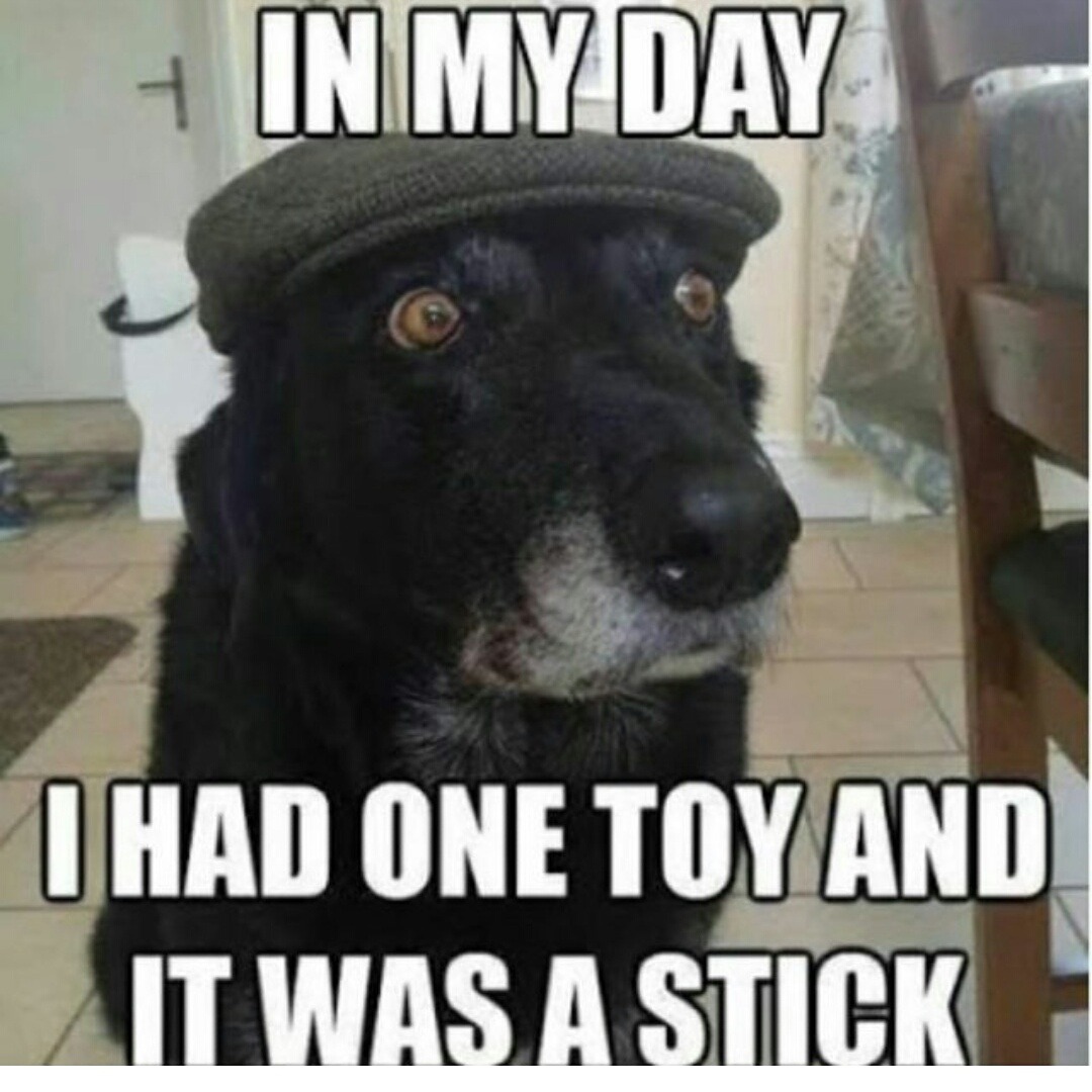 syckboy1:  Lmao