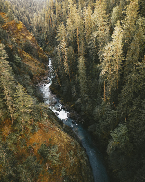 eartheld:  youseethenew:  More time well spent in Olympic NP, Washington Instagram: BToneVibes   x  Homeeeee ❤️ I mean granted ONP had over a million square miles and I think that’s just trails and spans several counties but I love having it