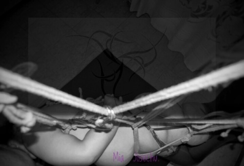 Porn photo SHIBARI