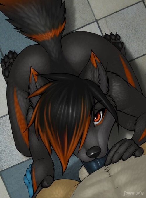 kinkywolftime:  Blowjobs for furries4ever1! 😻😽🐾🐾 ~K. Wolf🐺 