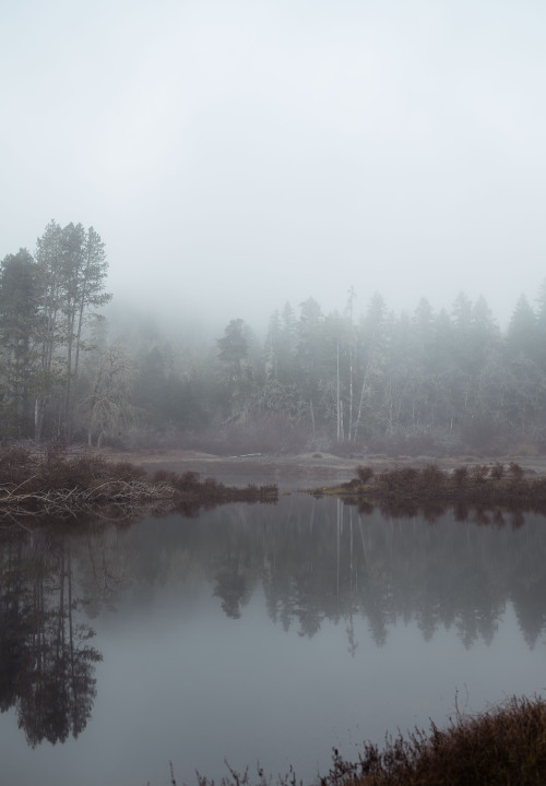 A Misty Pond