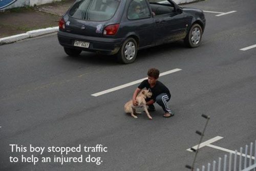 webofgoodnews:  Another collection of people being kind.   (via) 