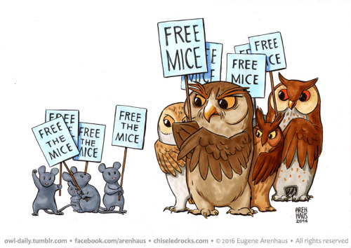 №497: Protest owls.