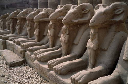 egypt-museum:Grand Avenue of RamsCourtyard with sphinxes originally used to line the Corridor of Sph