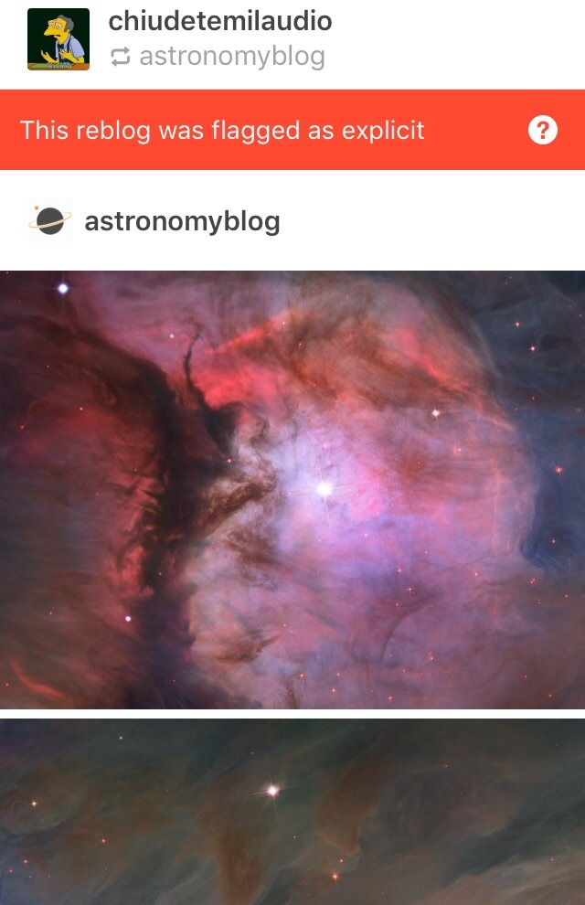kawaiiasfuckk:  chiudetemilaudio:  kawaiiasfuckk:  Tumblr putting flags on every