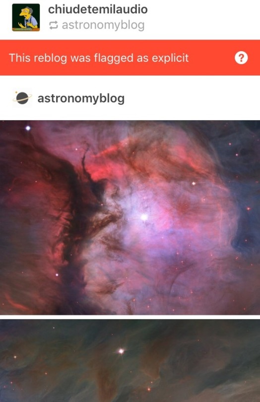 kawaiiasfuckk:  chiudetemilaudio:  kawaiiasfuckk:  Tumblr putting flags on every single post on my blogs  Same here, @staff fucking flagged pictures of the goddamn space coming from an astronomy blog.Guess it’s because of black holes.   Staff: