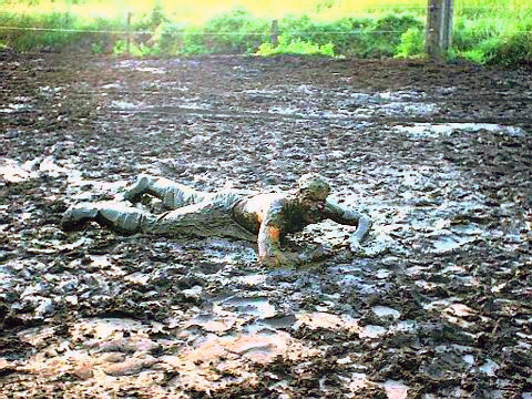 filthyinleather:wonderful!! love mud shit porn pictures