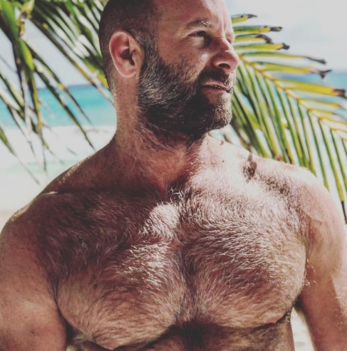 thebearunderground: The Bear Underground - best in masculine hairy menWith over 55,000+ pics and vid