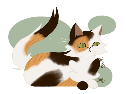 A Calico Kitty Cat Meow