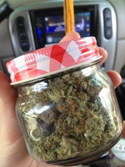 a-high-ass-ginger:  This is some dandy weed indeed. 