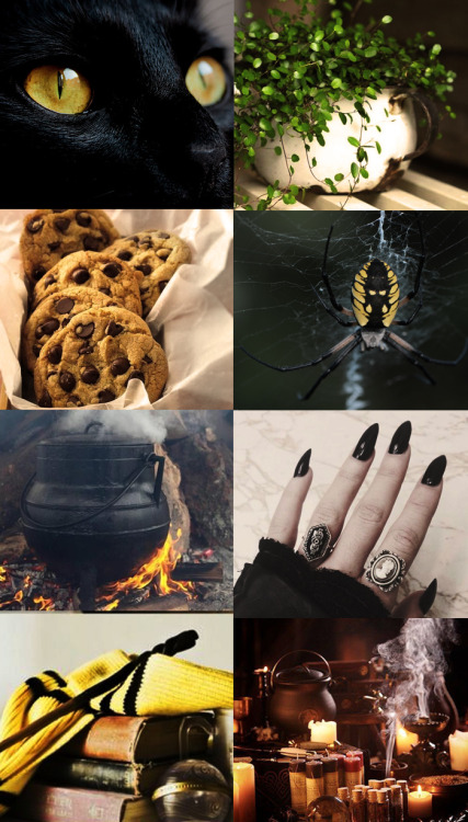 xtoxictears: Hufflepuff I made a thing~  