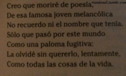 Solo recordaré que pasaste por mi mundo, y sin querer te olvidaré&hellip;