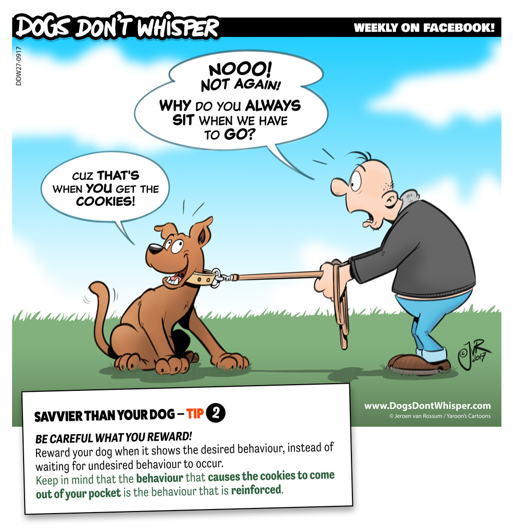 Dogs don't Whisper — Savvier than your dog Tip 2: Reward your dog...